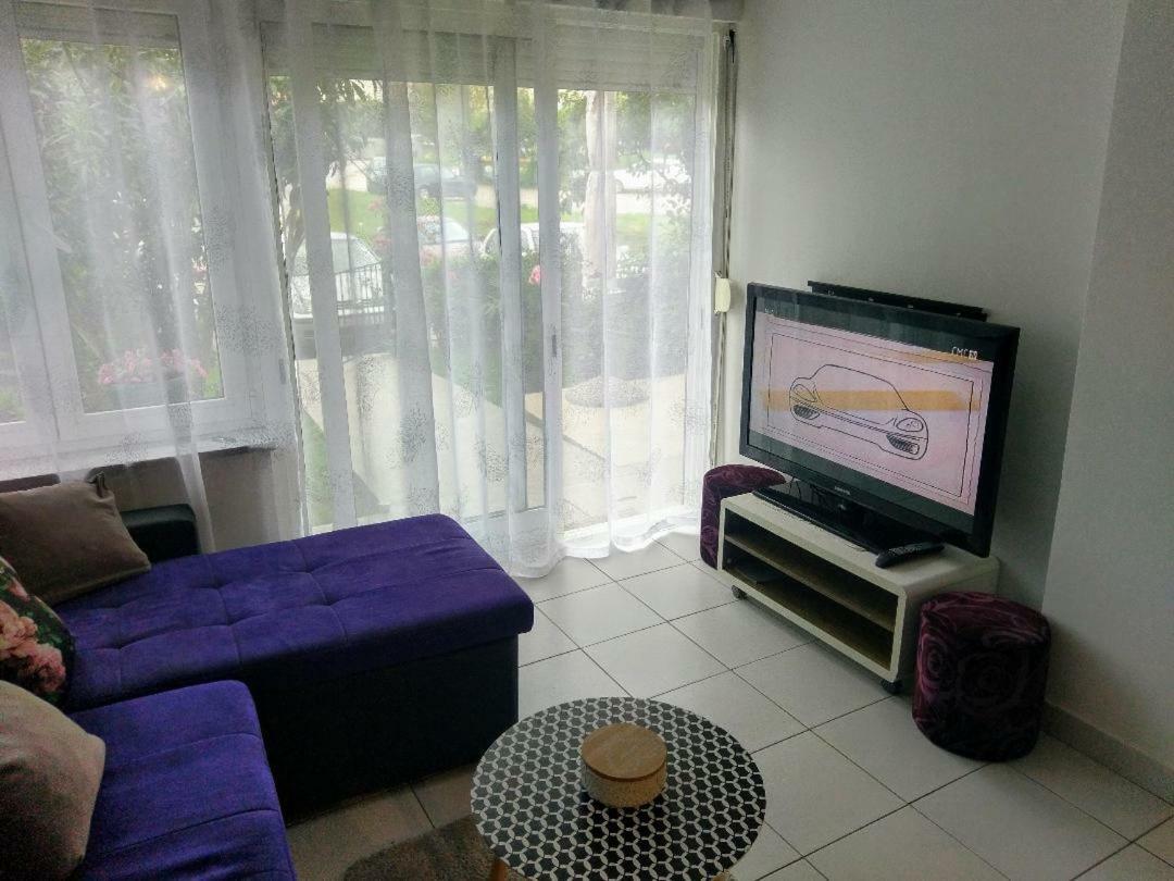 Lovely Apartment With Garden And Terrace Rijeka Luaran gambar